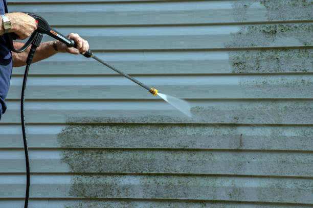 Best Dumpster Area Cleaning  in Thorndale, TX