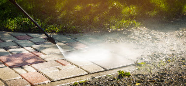 Best Fence Cleaning  in Thorndale, TX